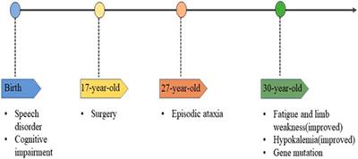 Novel mutation in exon11 of PRKCG (SCA14): A case report